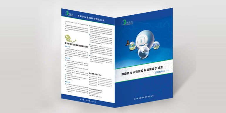 湖南省招投標數(shù)據(jù)標準接口應用指導