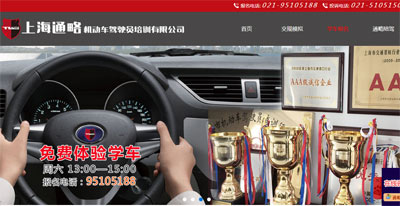 上海通略機(jī)動(dòng)車駕駛員培訓(xùn)有限公司